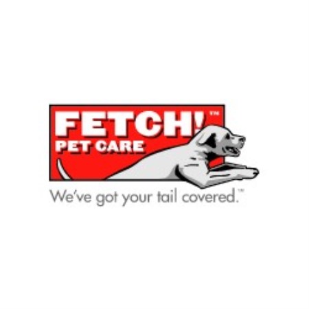 Experienced pet sitter and dog walker in Mars, Pennsylvania