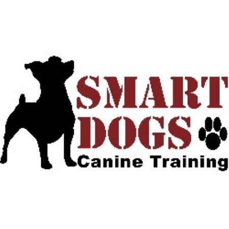 Puppy/Dog obedience training in Milton, Ontario