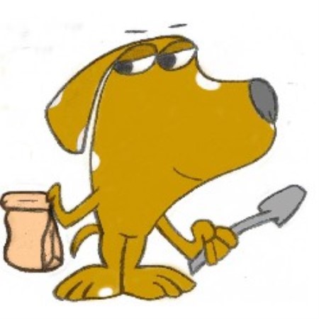 Dog Cleanup in Staten Island, New York