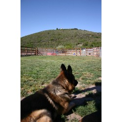 Boarding kennels Arroyo Grande, California