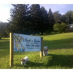 Grooming Salon for dogs in Powhatan Point, Ohio