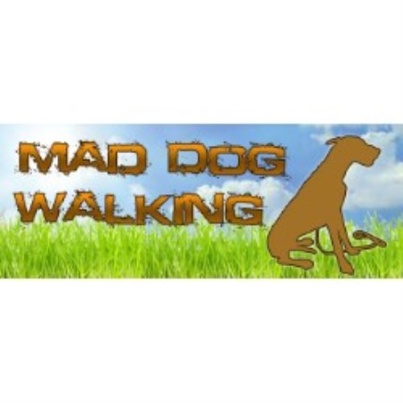 Dog walker in Roanoke, Virginia