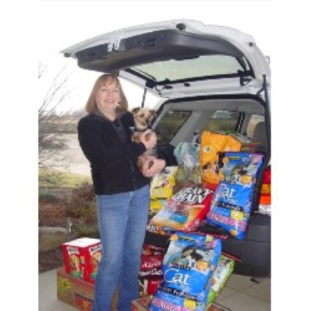 Pet sitter for dogs in Streetsboro, Ohio