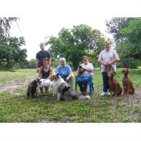 Dog barking behavior expert in Plantation, Florida