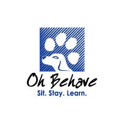 Puppy/Dog obedience training in Fort Lauderdale, Florida