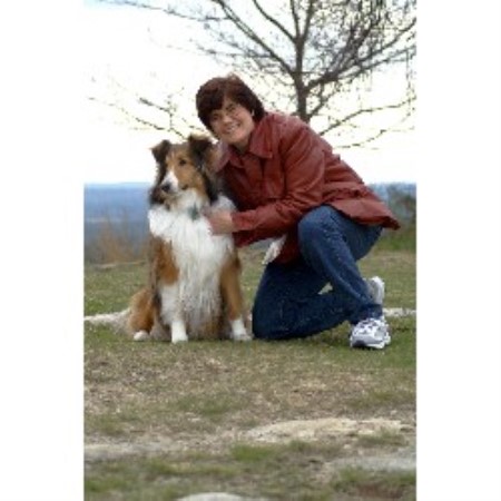 Dog Trainer in Manchester, New Hampshire