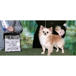 Dog Grooming Salon in Atwater, California