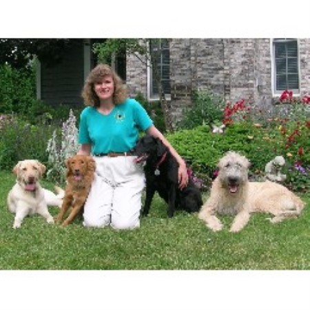 Puppy/Dog obedience training in Royal Oak, Michigan