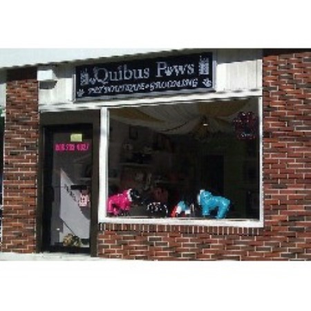 Dog Grooming Salon in Westfield, New Jersey