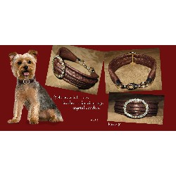Dog Groomer in Montreal, Quebec