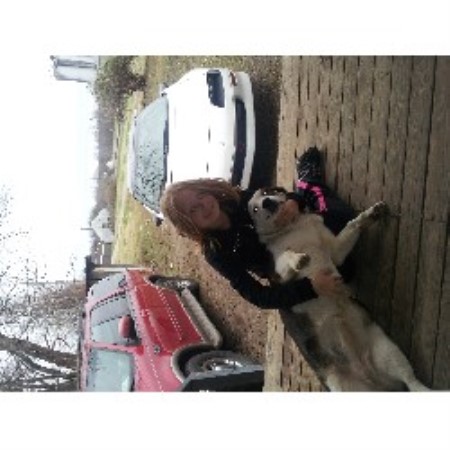 Dog Boarding in Pyatt, Arkansas