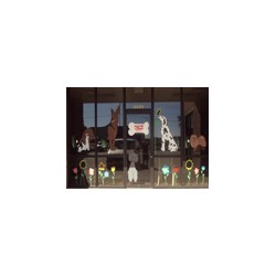 Dog Groomer in Ozark, Missouri