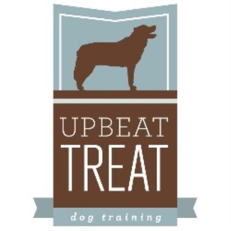 dog kennels madison wi area
