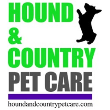 Pet sitter for dogs in Beverly, Massachusetts