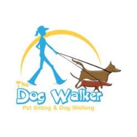 professional dog walker