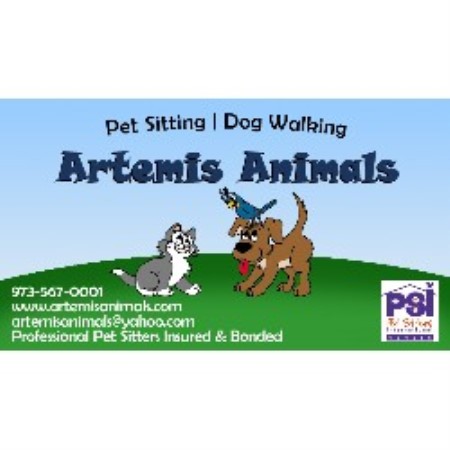 House sitting and walking for puppies and dogs in Flanders, New Jersey