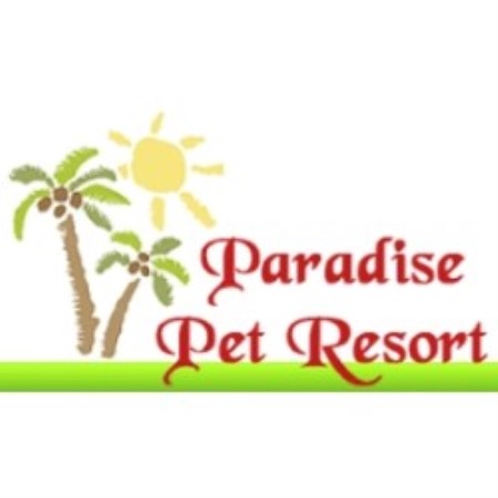 Dog Boarding in Santa Rosa, California