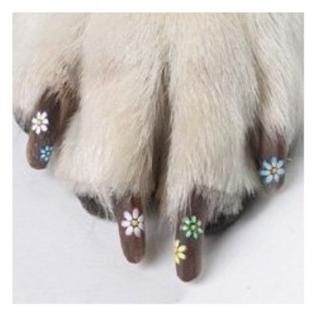 Orofino Dog Boarding Orofino Dog Boarding