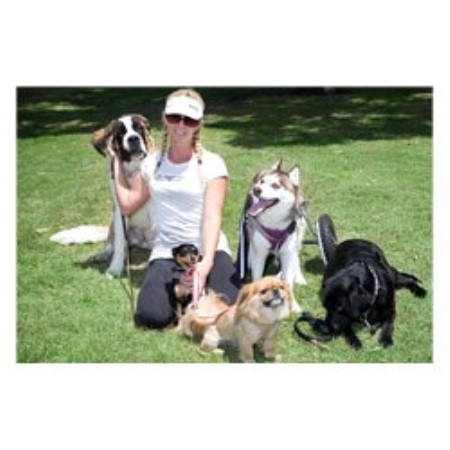 Tracie's Pet Service Costa Mesa, California Picture 2