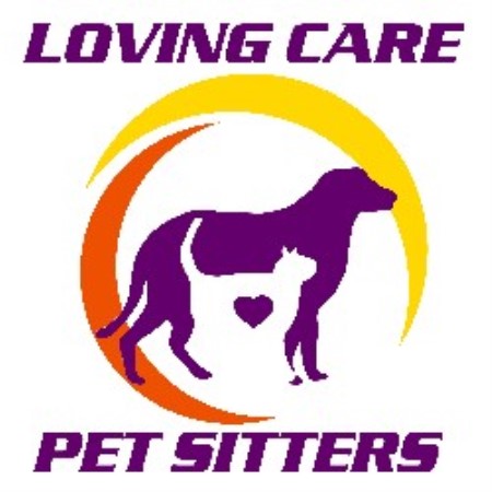 Dog Grooming Mt Pleasant Dog Grooming Mt Pleasant
