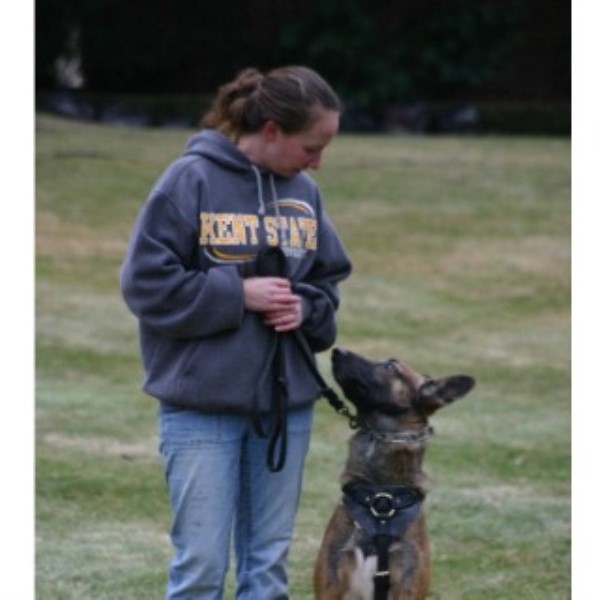 Aim High K9 in Youngstown, Ohio (ID: 79911)