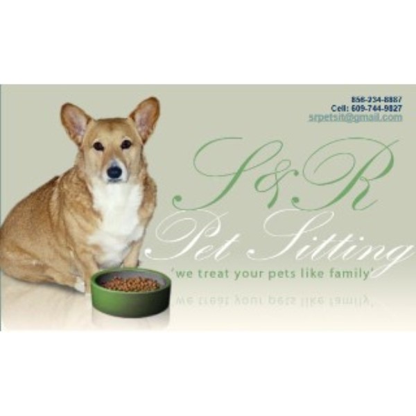Dog Training Boarding New Jersey Dog Training Boarding New Jersey