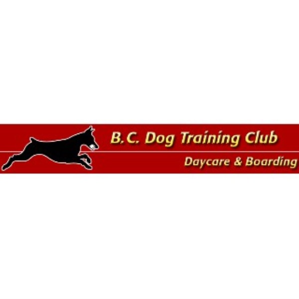 Dog Training Mchenry Illinois Dog Training Mchenry Illinois