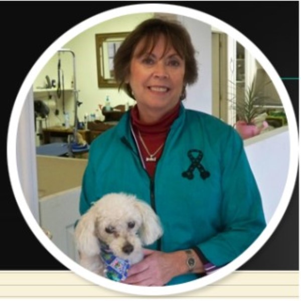 free dogs in ct grooming services and groomers in connecticut freedoglistings free dogs in ct grooming services and groomers in connecticut freedoglistings