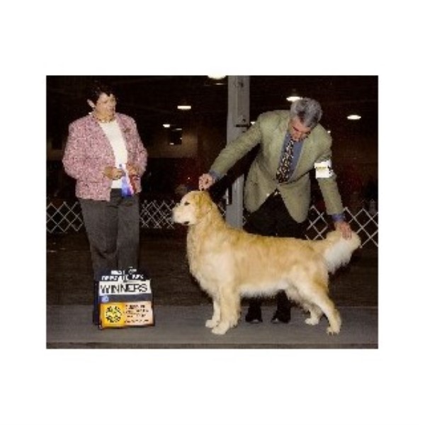 Dog Boarding Haverhill Ma Dog Boarding Haverhill Ma