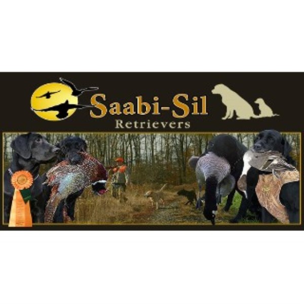Bark Dog Training Malvern Bark Dog Training Malvern