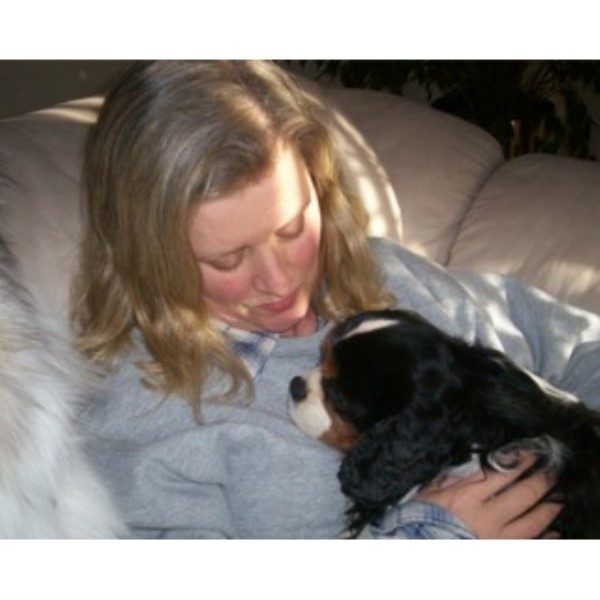 boarding wi directory of boarding kennels in wisconsin freedoglistings boarding wi directory of boarding kennels in wisconsin freedoglistings