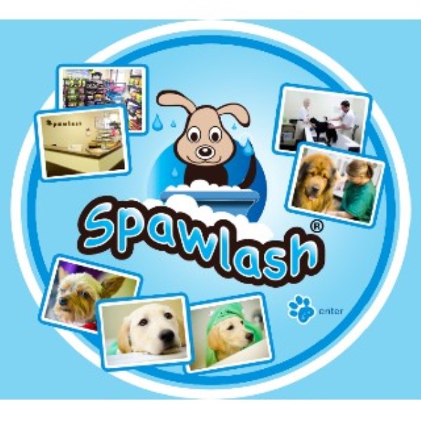 grooming denver spawlash self service wash grooming in denver colorado id 80112 grooming denver spawlash self service wash grooming in denver colorado id 80112
