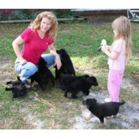 German Shepherd Dog breeder in Deland Florida