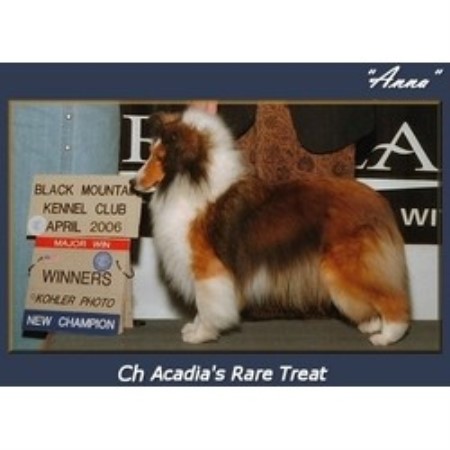 CH Acadias Rare Treat