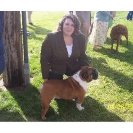 English Bulldog breeder in Hayden Idaho