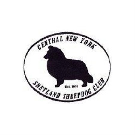 CNYSSC Logo