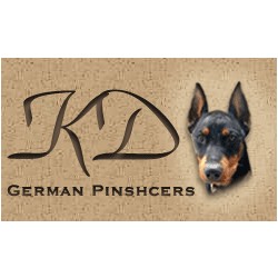 German Pinscher Breeder in Melbourne, Florida