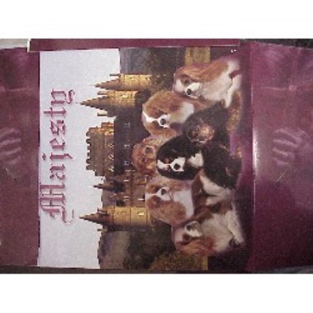 Cavalier King Charles Spaniel in California