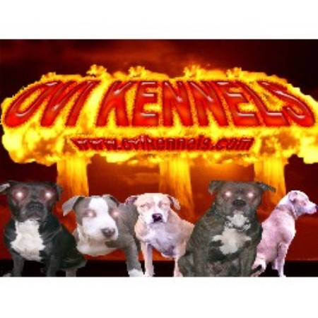 OVI KENNELS