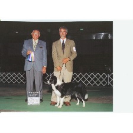 PJ at show