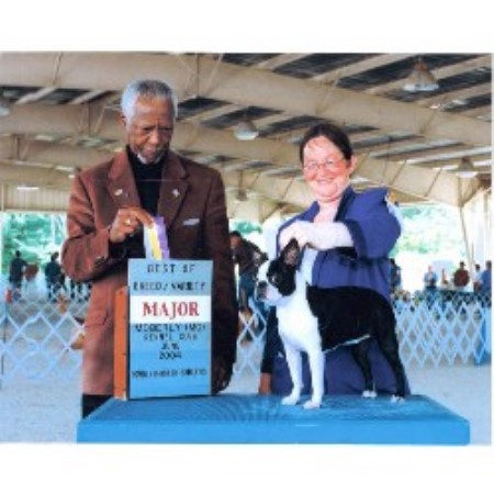 Boston Terrier breeder in Texas picture 2