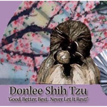 puppies for sale saratoga ny donlee shih tzu shih tzu breeder in saratoga springs new york puppies for sale saratoga ny donlee shih tzu shih tzu breeder in saratoga springs new york