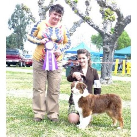 Australian Shepherd Dog breeder in Sacramento California