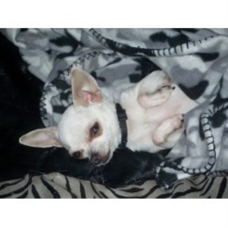 CuddleBugs Baby Girl