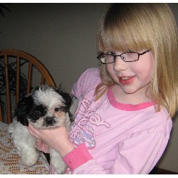 Shih Tzu breeder in Huntsville Ontario