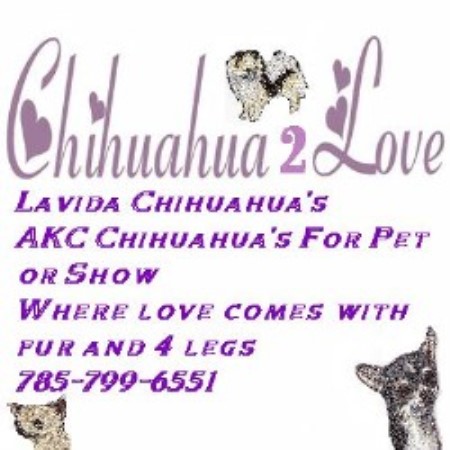 Lavida Banner1