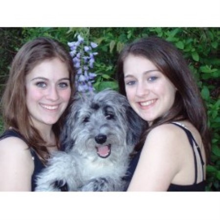 Labradoodle breeder in Virginia picture 2