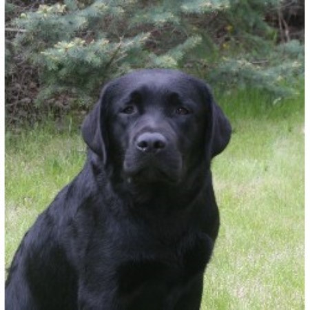 Lab in Manitoba