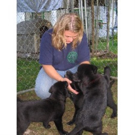 Lab in New Jersey picture 2