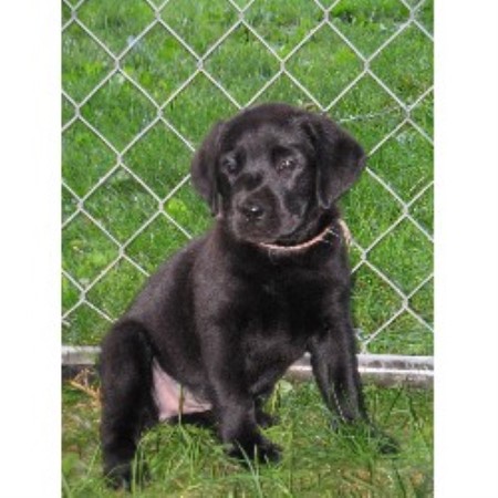 Lab in New Jersey